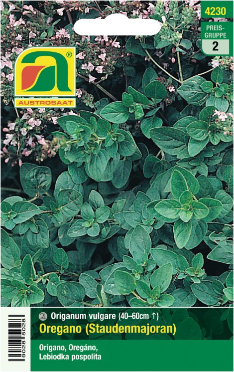 Oregano Staudenmajoran
