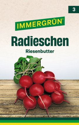 IMMERGRÜN Tütensamen Radieschen Riesenbutter