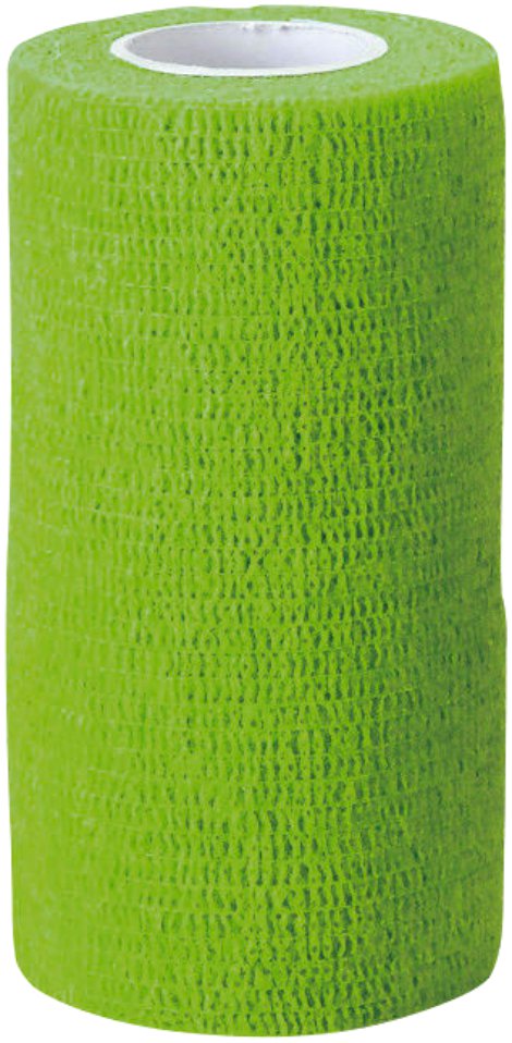 Bandage EquiLastic selbsthaftend, grün 10 cm