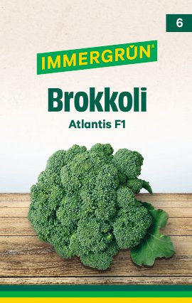 IMMERGRÜN Tütensamen Brokkoli Atlantis F1