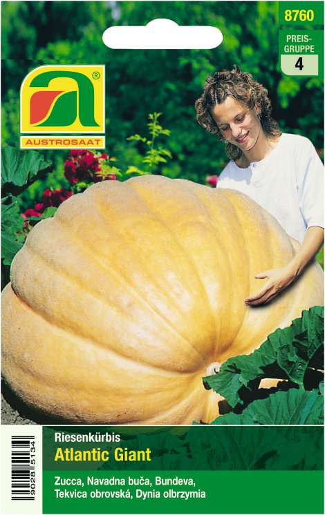 Riesenkürbis Atlantic Giant