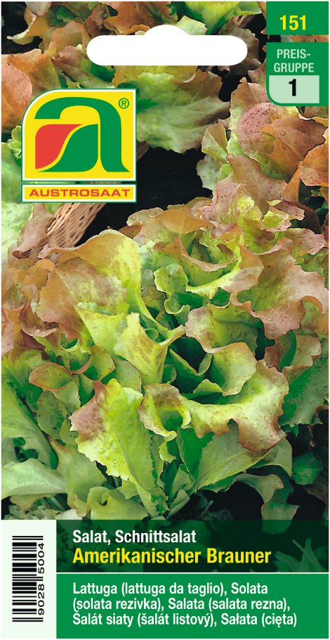 Pflücksalat Amerikanischer brauner