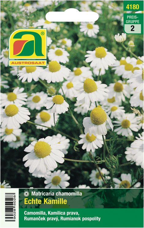Kamille echte
