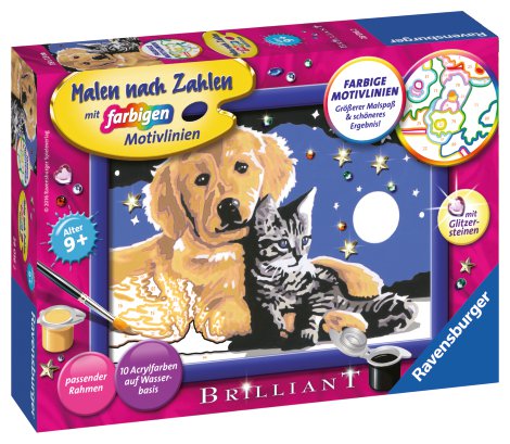 RAVENSBURGER Malen nach Zahlen Funkelnder Sternenhimmel