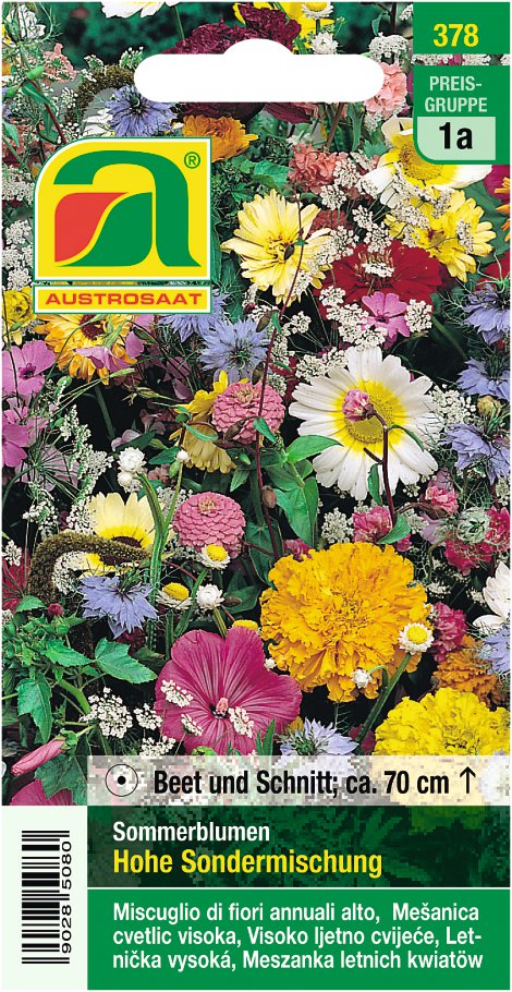 Sommerblumen hohe