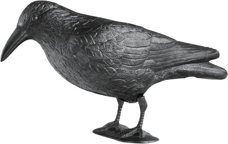 WINDHAGER Vogel- & Taubenabwehr CROW 37 cm
