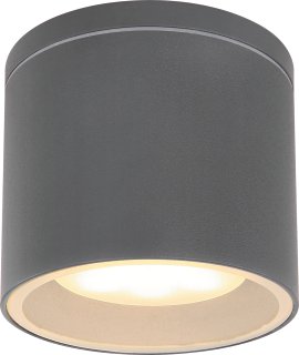 GLOBO LED-Außenwanddeckenleuchte Alcal Anthrazit klar 1x LED GX53 11 W 230 V 10,8x9,6 cm (⌀xH)