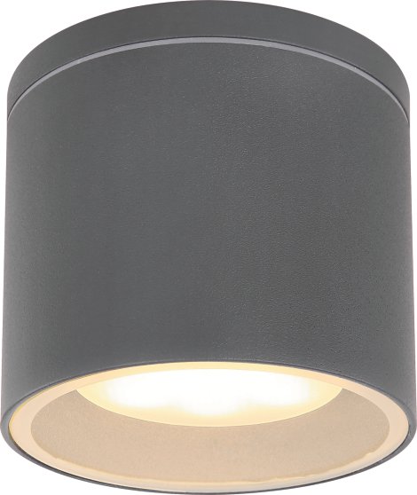 GLOBO LED-Außenwanddeckenleuchte Alcal Anthrazit klar 1x LED GX53 11 W 230 V 10,8x9,6 cm (⌀xH)