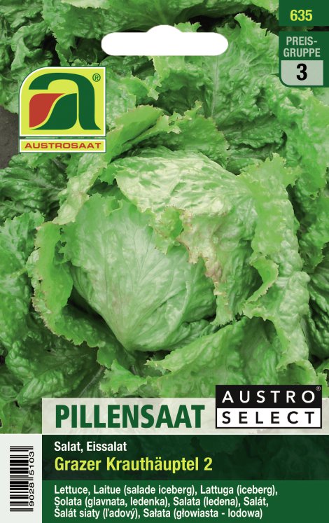 Eissalat Grazer Krauthäuptel, pilliert