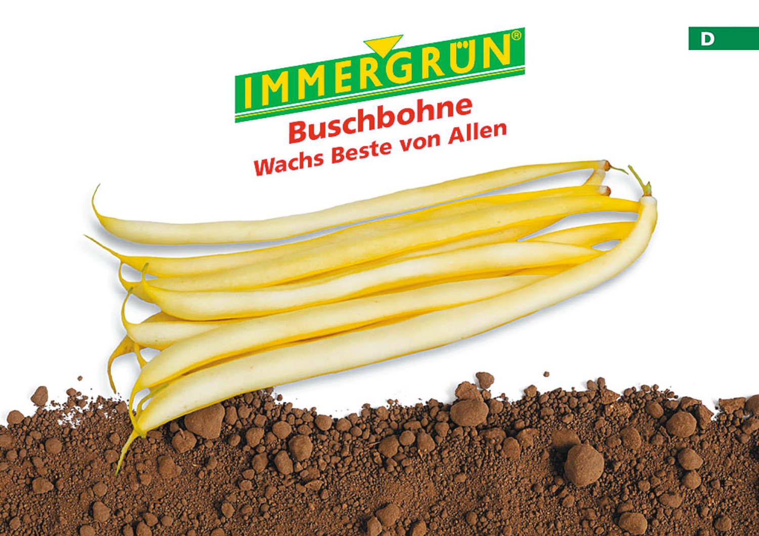 IMMERGRÜN Tütensamen Buschbohne Wachs Beste von Allen