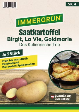 IMMERGRÜN Saatkartoffel Brigit