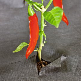 WINDHAGER Unkraut Vlies Öko